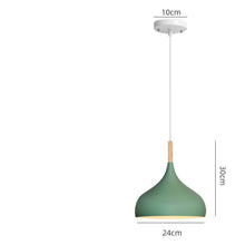 Carica l&#39;immagine nel visualizzatore di Gallery, Lampada a Sospensione
