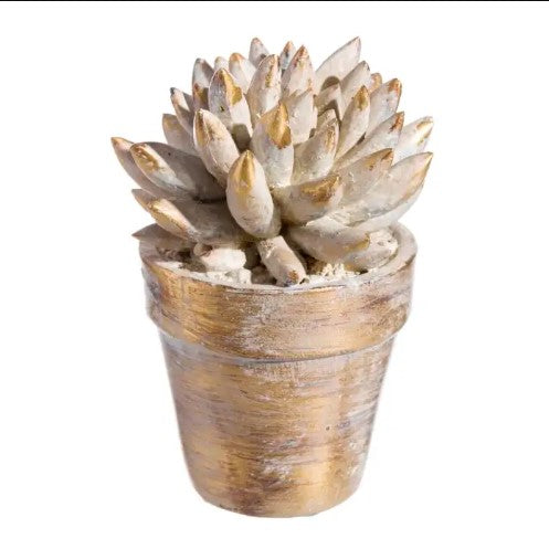 Gold cactus pot