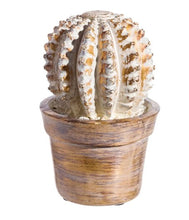 Lade das Bild in den Galerie-Viewer, Vasetto cemento oro cactus
