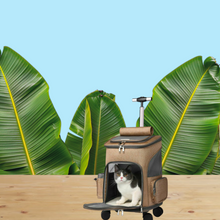 Carica l&#39;immagine nel visualizzatore di Gallery, Zaino per animali domestici
